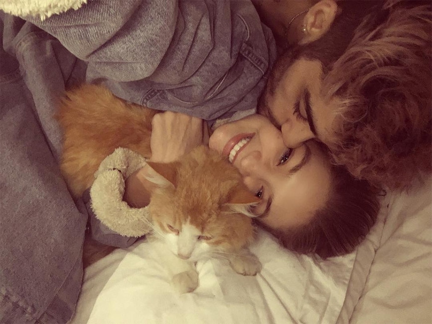 Gigi Hadid, Zayn Malik, chat